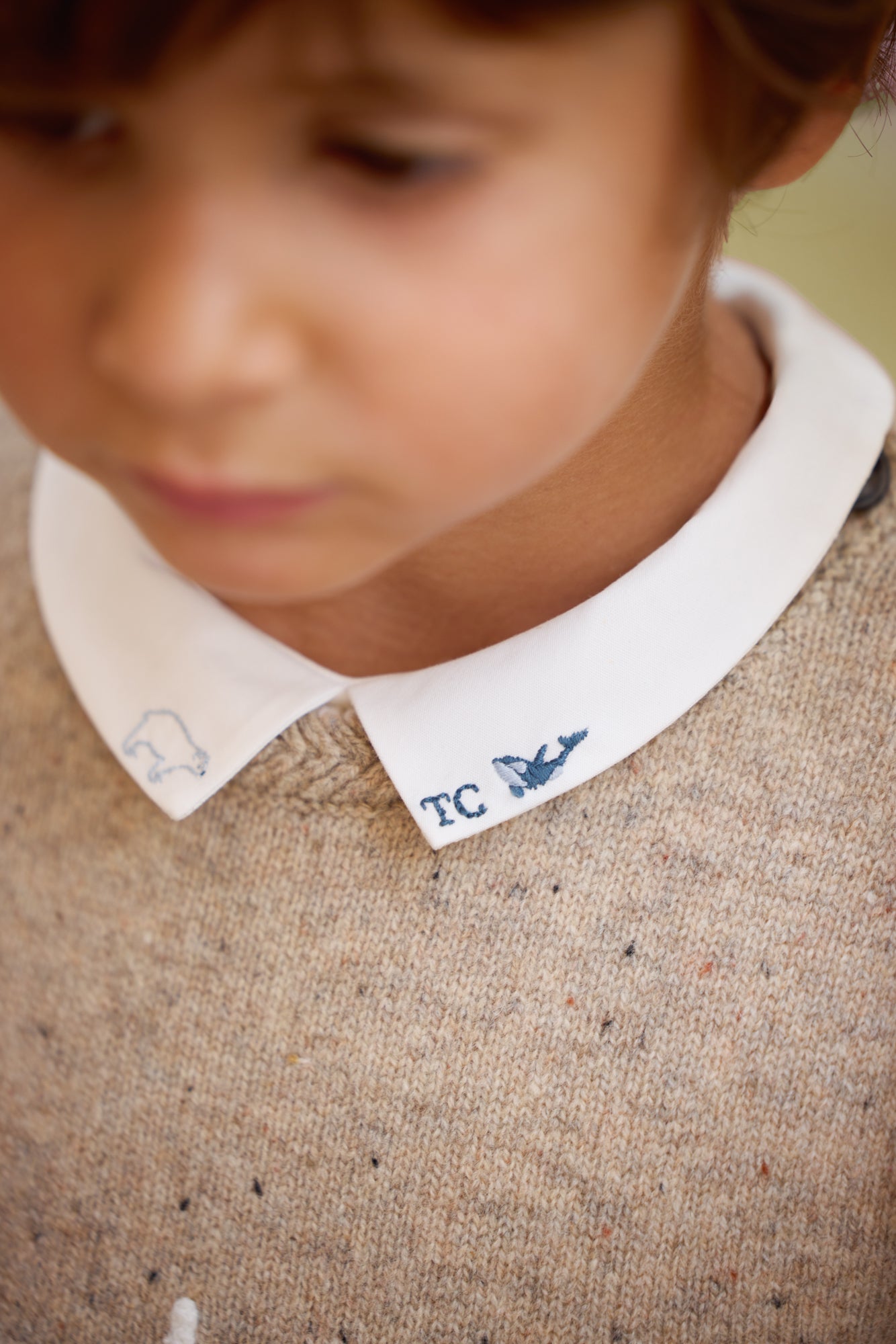 Jersey - Arena aventurera