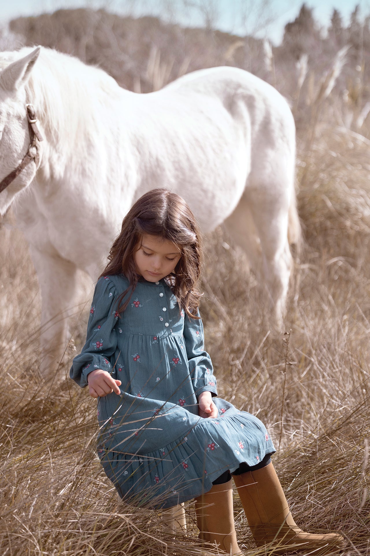 Kleid - Blau Chambray Stickerei