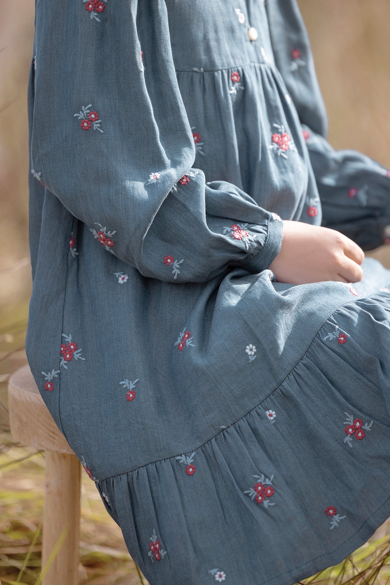 Kleid - Blau Chambray Stickerei