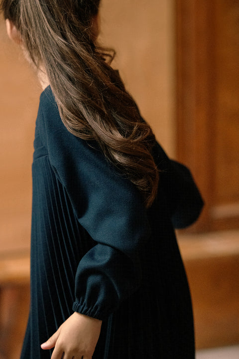Robe - Marine plissée - Image principale