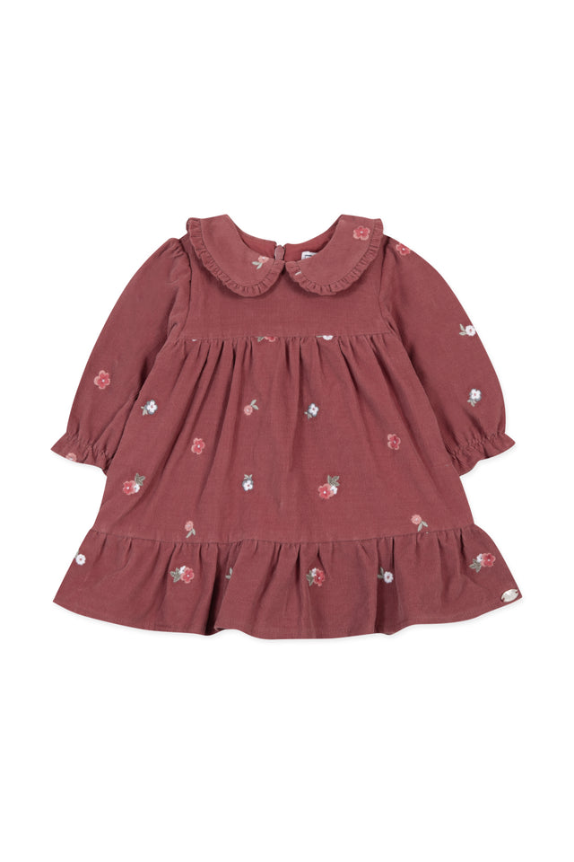 Jurk - Roze Velours peter pan kraag - Image principale