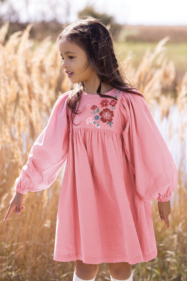 Robe - Rose vichy et broderie fleurie - Image principale