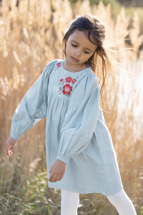Kleid - Blaues zweifarbiges Gingham mit Blumenstickerei - Image principale