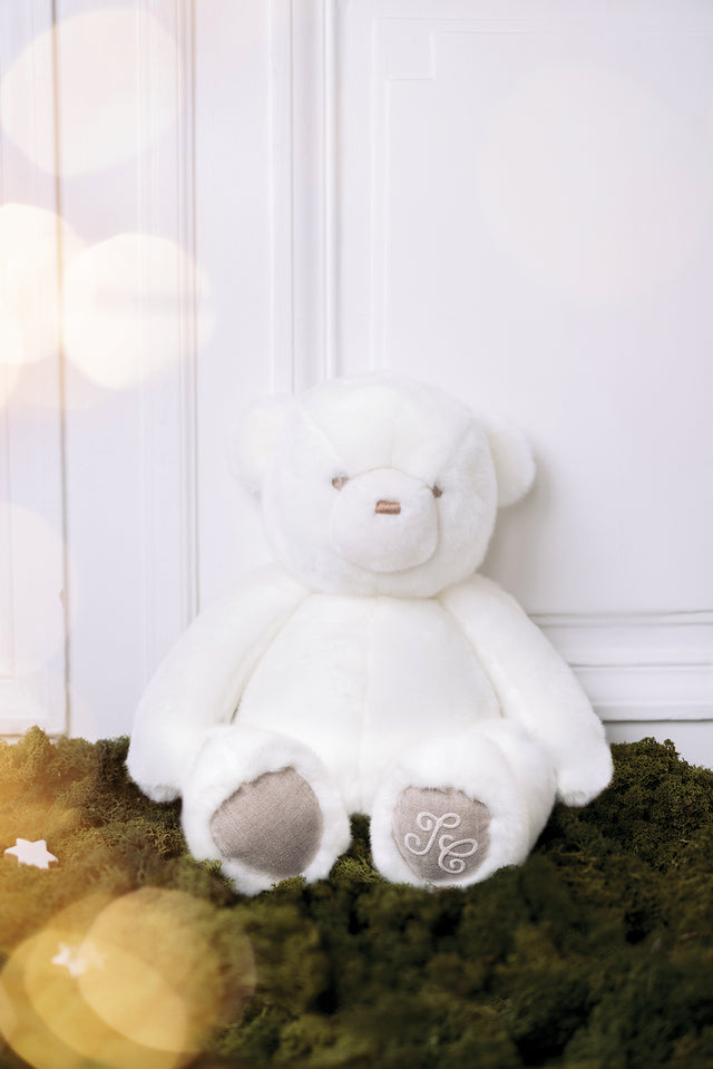 Hubert l'Ours polaire - Pamplemousse x Tartine et Chocolat - Image principale