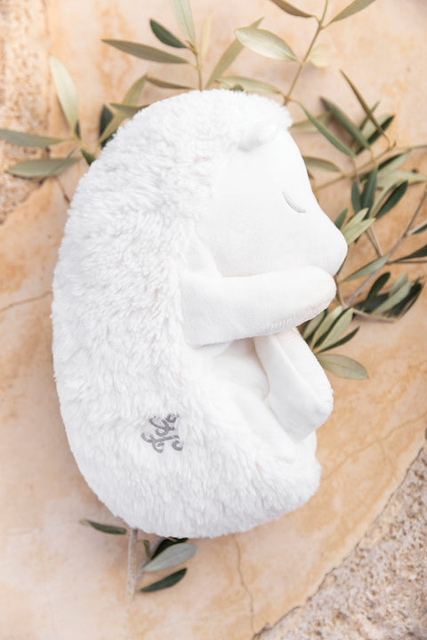 Leon the hedgehog - Sleepers 25cm - Image principale