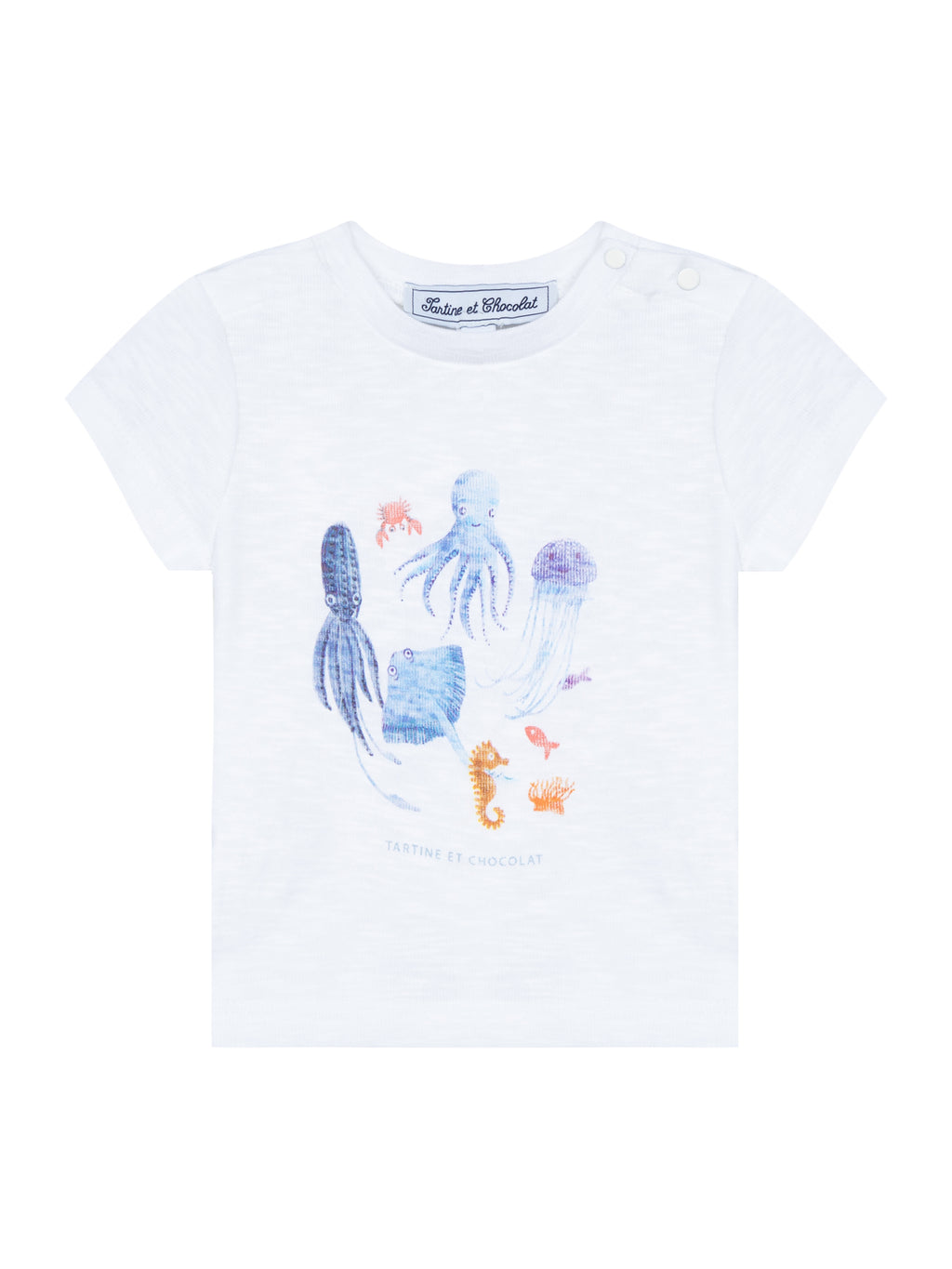 Tee-shirt - Coton bleu animaux marins