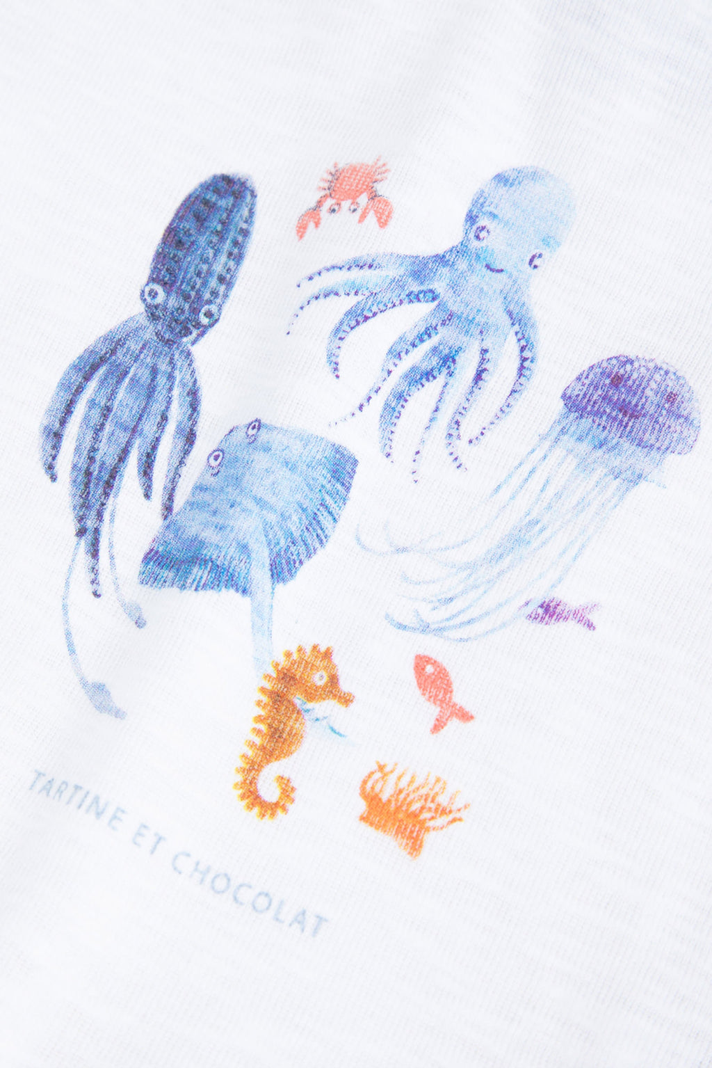 Tee-shirt - Coton bleu animaux marins